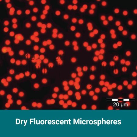 Dry Fluorescent Microspheres