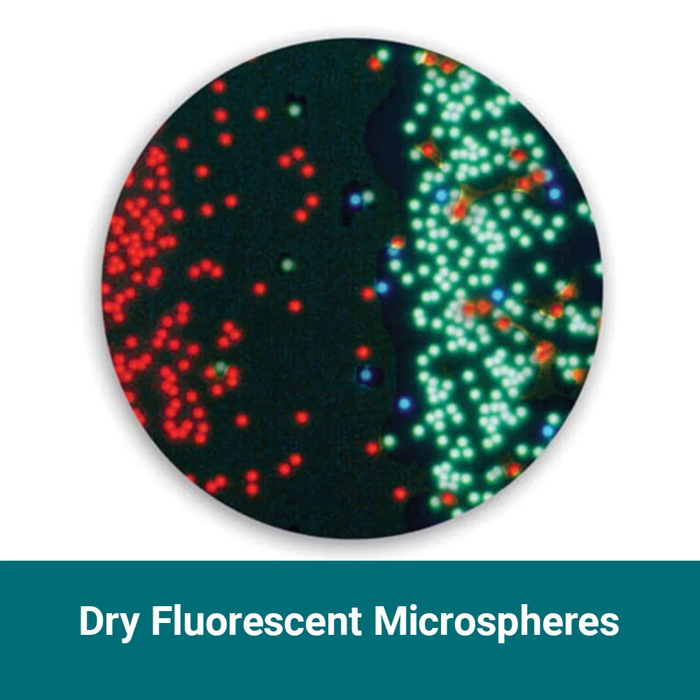 Dry Fluorescent Microspheres
